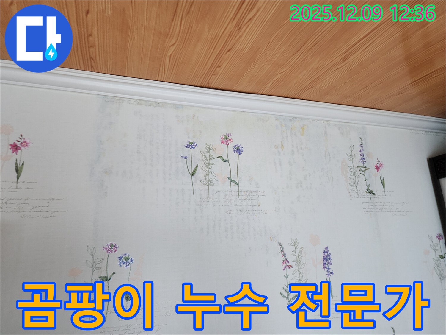 포천시 영중면 누수 문제 - 곰팡이 문제를 해결하는 전문가의 꼼꼼한 누수 공사 과정