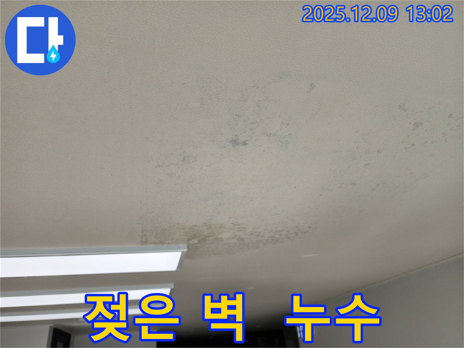 포천시 영중면 성동리 천장 누수 - 누수 때문에 벽이 젖었다면, 즉시 전문가에게 문의하세요!