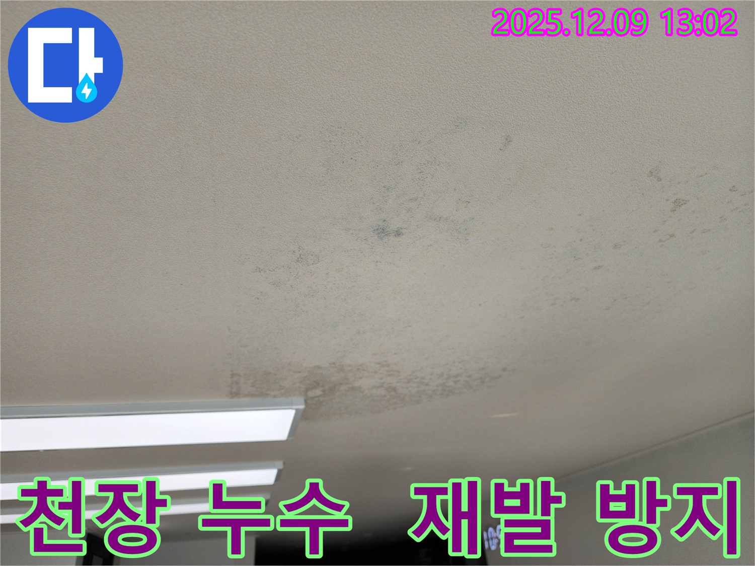 포천시 영중면 천장 누수 - 곰팡이 재발 방지, 완벽한 시공으로 안심하세요!