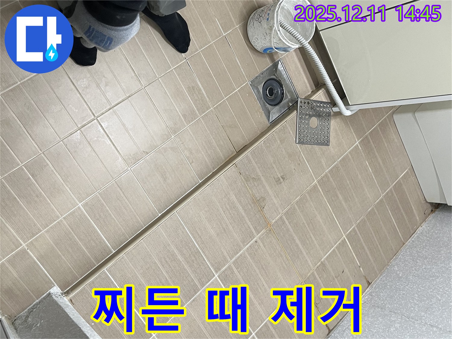 마포구 성산2동 - 세탁실 배수구 주변 청소 - 찌든 때까지 말끔하게 제거!