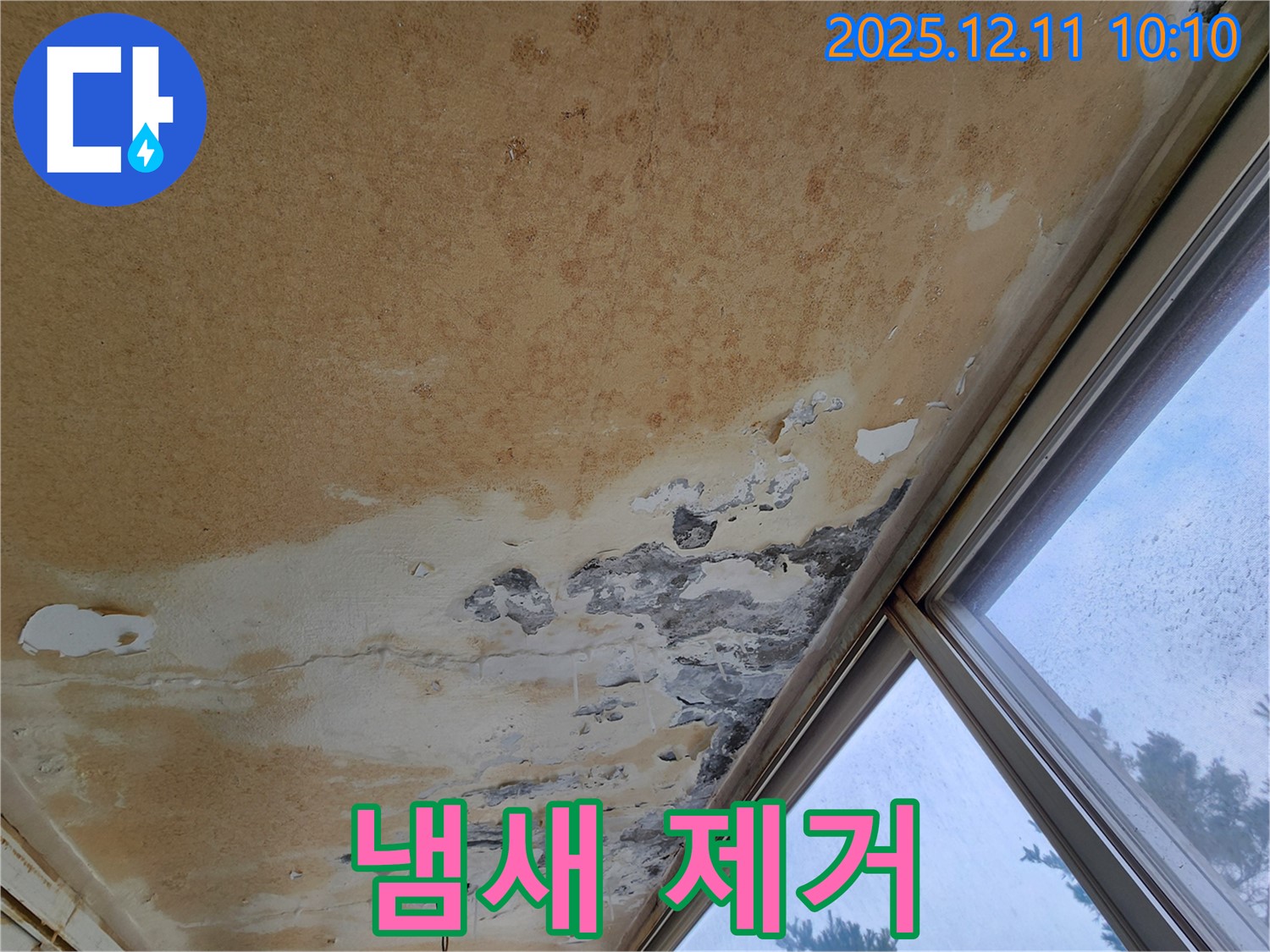 곰팡이 냄새 제거 작업 - 상쾌한 공기