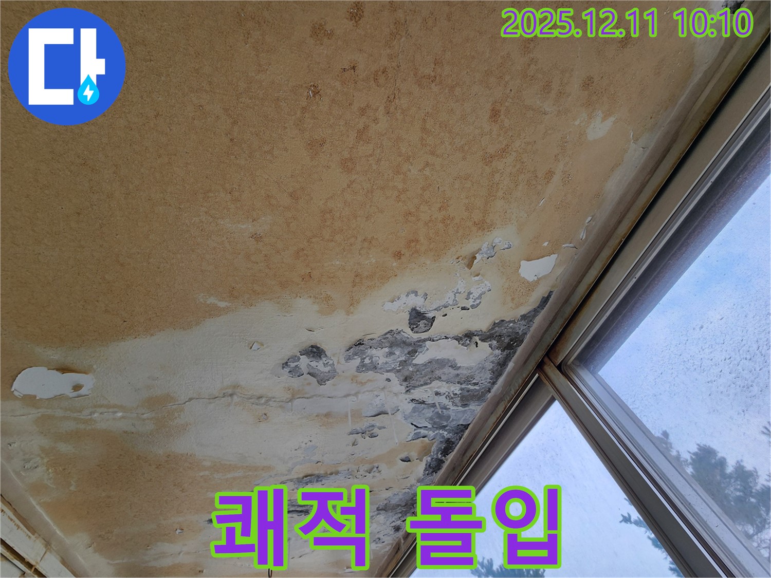 곰팡이 냄새와 얼룩 - 쾌적한 공간 되찾기 프로젝트 돌입