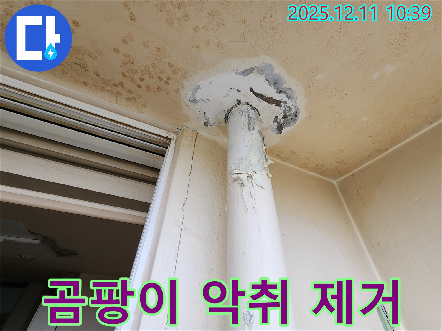 곰팡이 악취 - 천장 누수 - 제거 완벽 시공