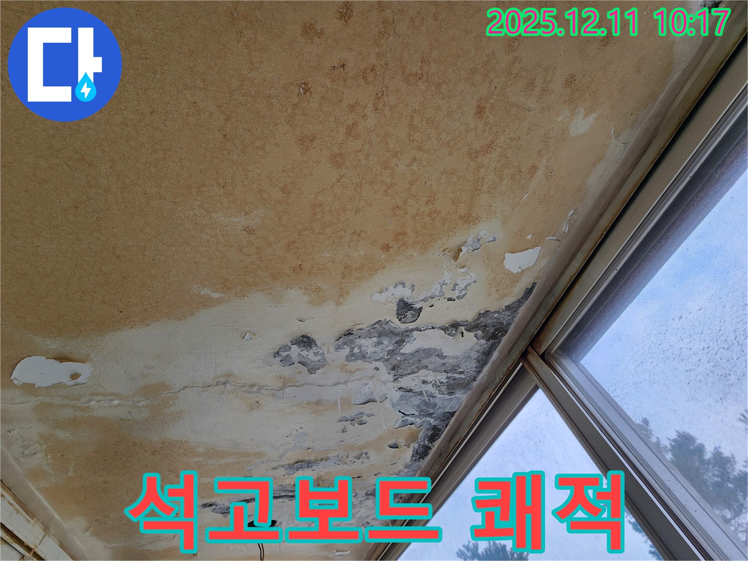곰팡이 천장 - 쾌적한 환경, 석고보드 교체