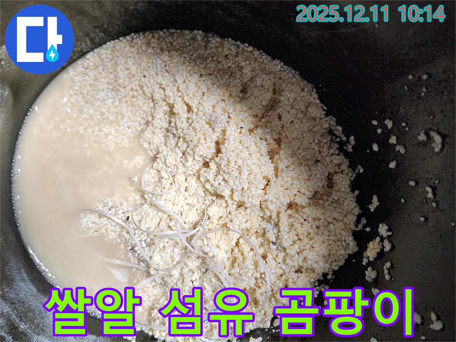 배관 속 쌀알 - 섬유 - 곰팡이 - 누수 유발