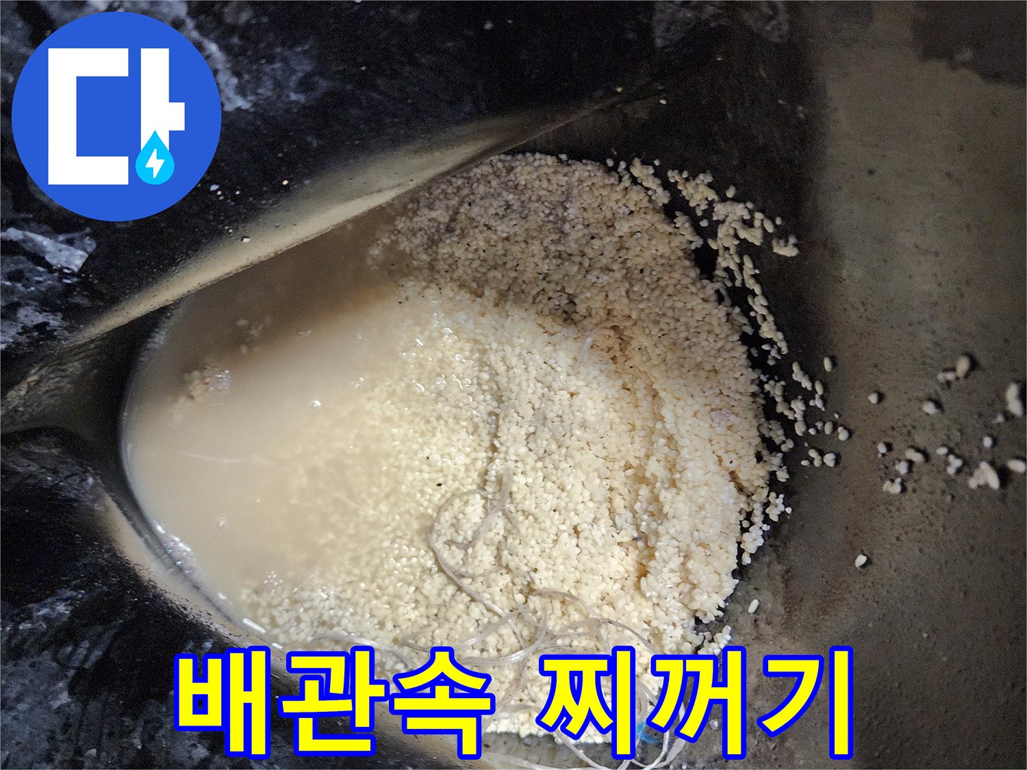 배수관 내부에서 추출된 유지방 슬러지와 이물질 덩<br>-석션 작업 결과물