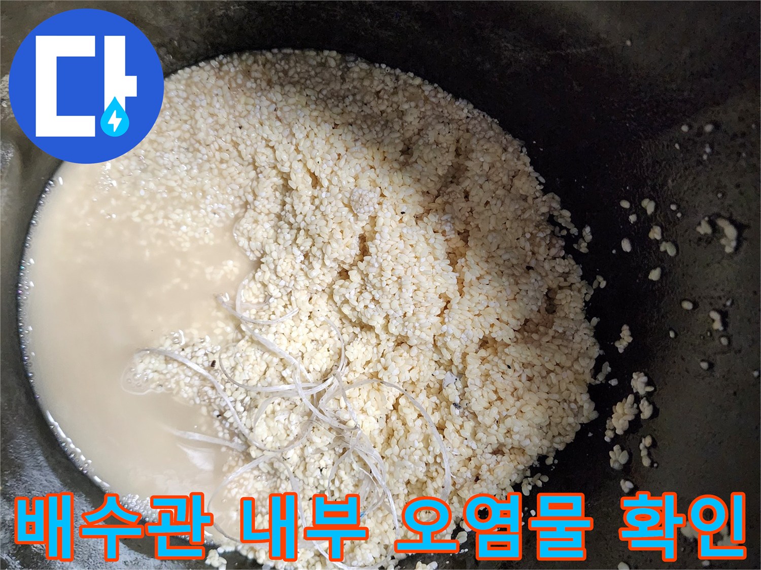 석션 작업 후 수거된 배관 내 유지방 덩어리와 오수