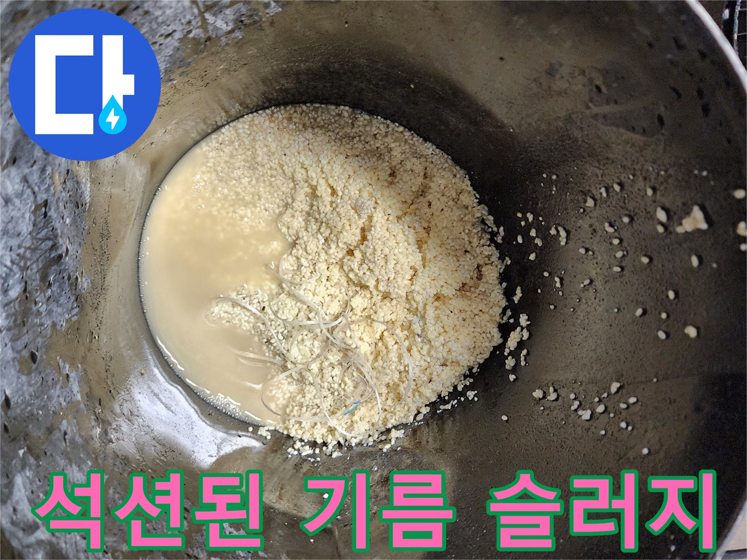 석션 작업 후 통에 모인 탁한 물과 유지방 덩어리들