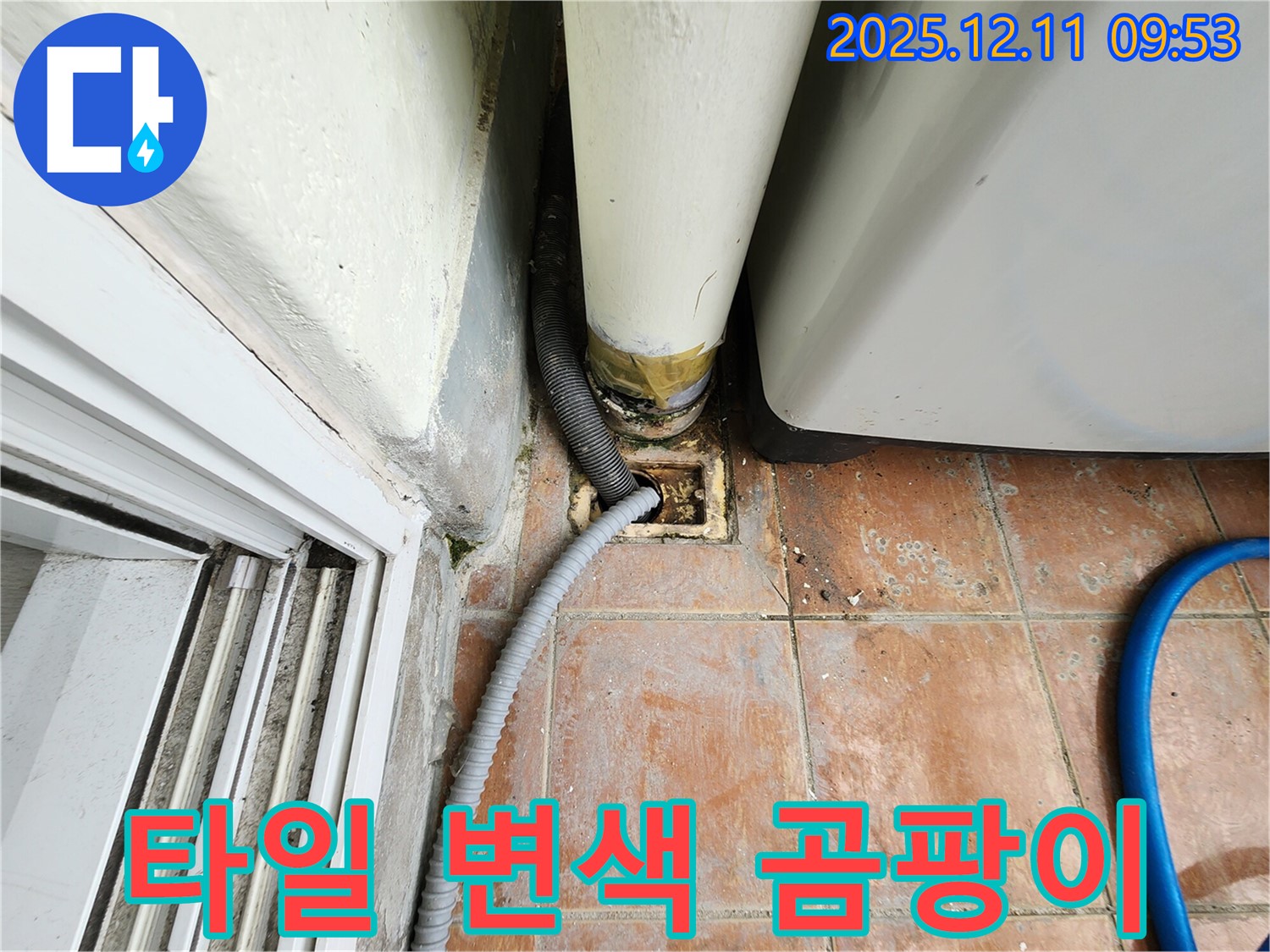 세탁기 배수구 주변 타일 변색 및 곰팡이 - 습기 누적