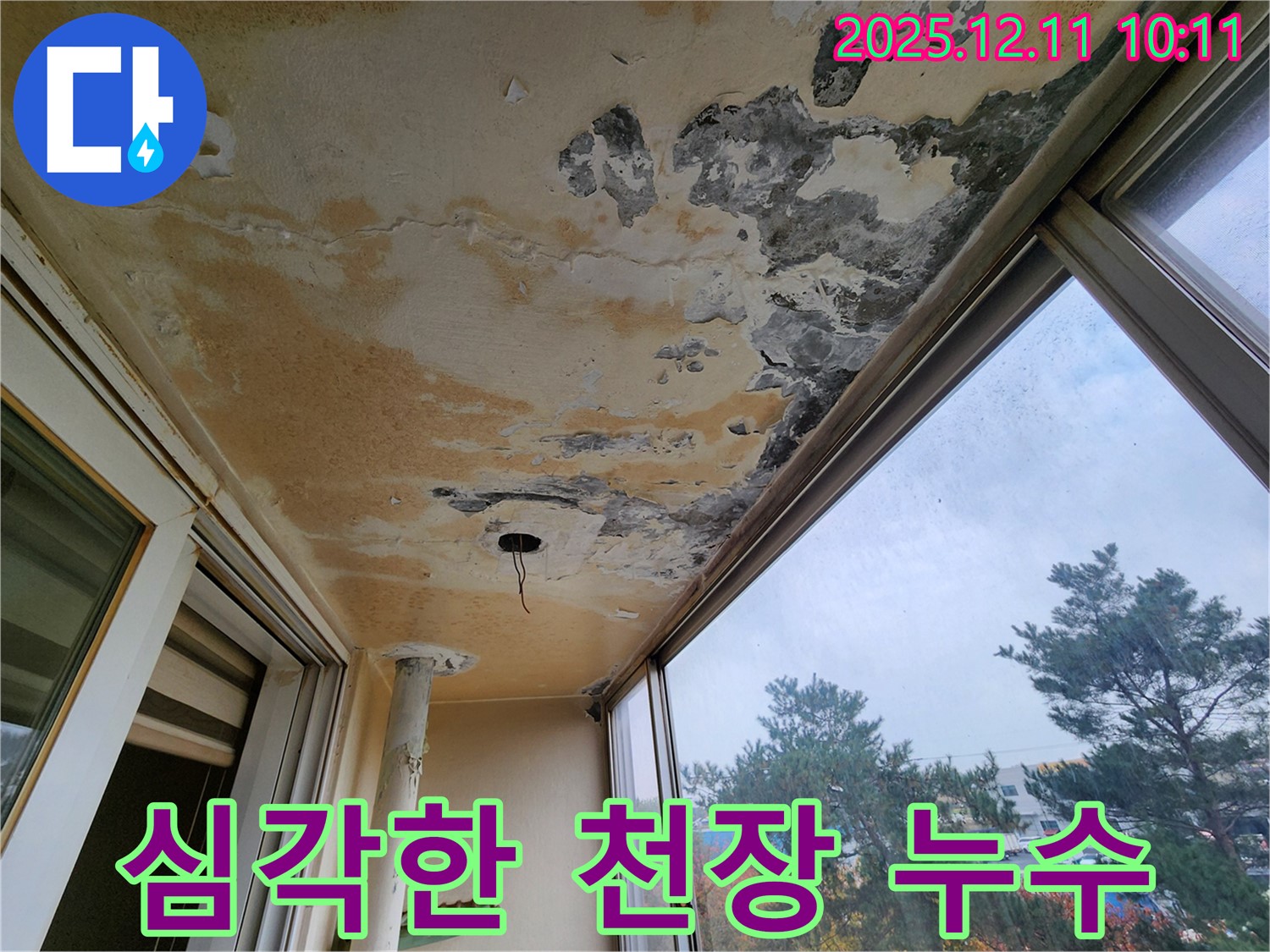 심각한 천장 누수 - 곰팡이와 페인트 벗겨짐 - 즉시 전문가 상담