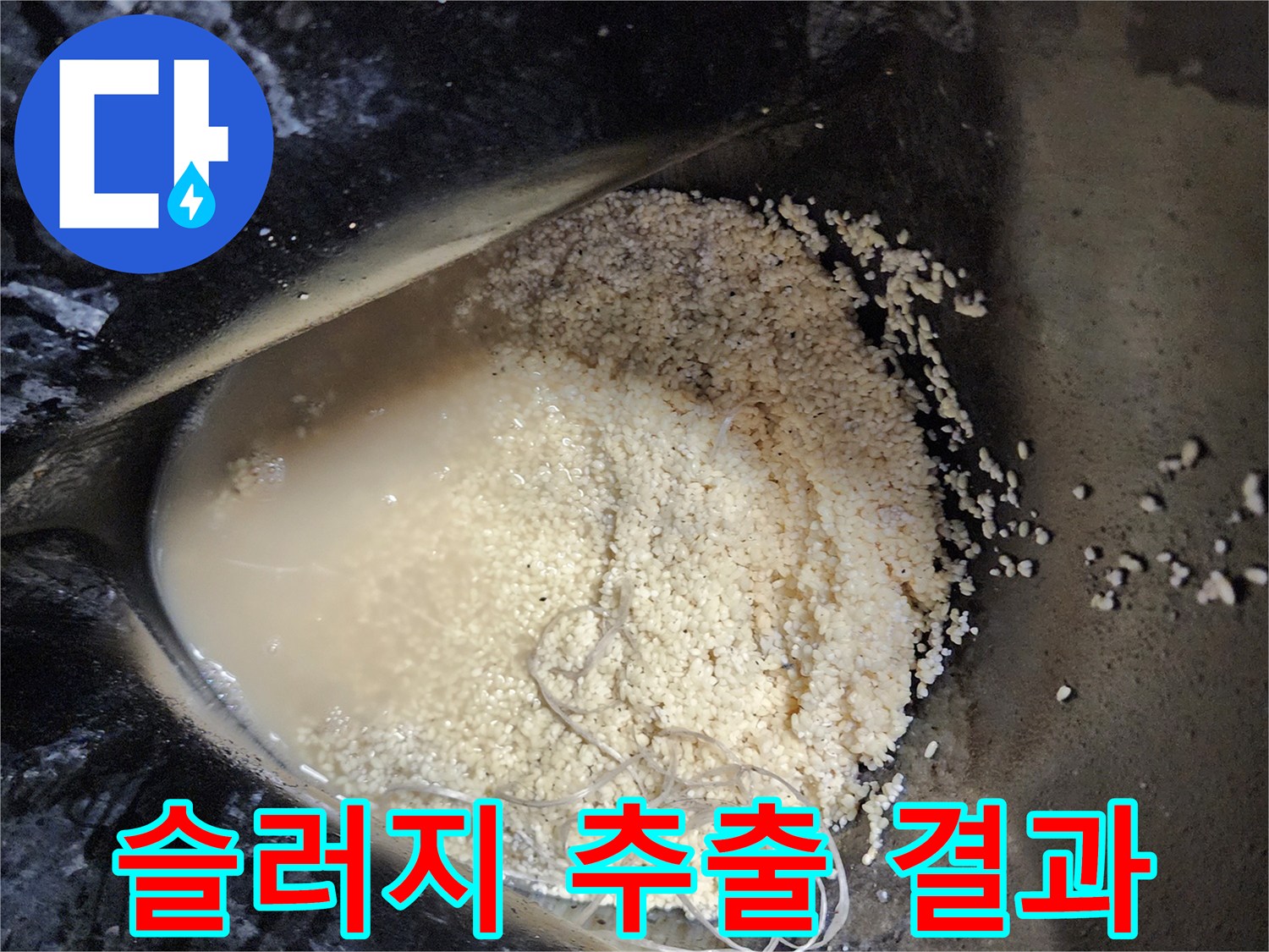 싱크대 배관 청소 후 수거된 유지방 및 이물질 덩어리