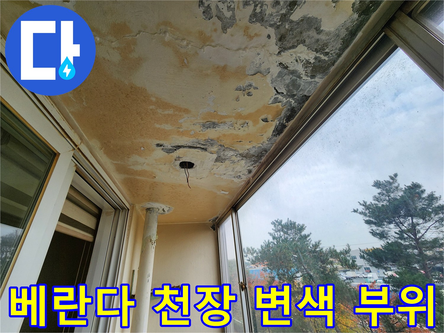 영중면 현장-천장 곳곳에 나타난 심한 황색 변색과 오염 흔적