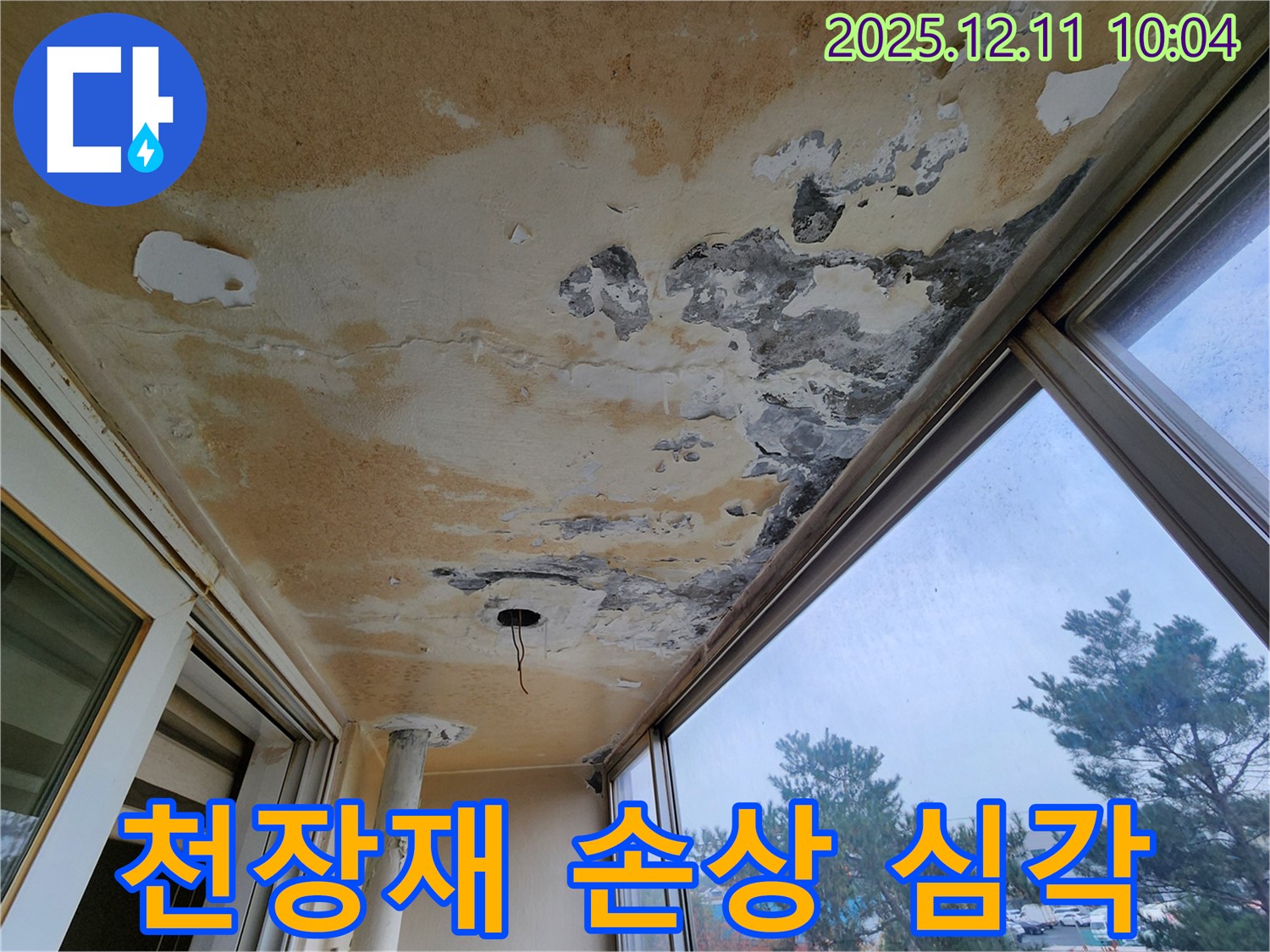 포천시 영중면 남궁리 - 베란다 천장의 곰팡이와 함께 천장재 손상이 심각한 상태를 보여주는 사진입니다.