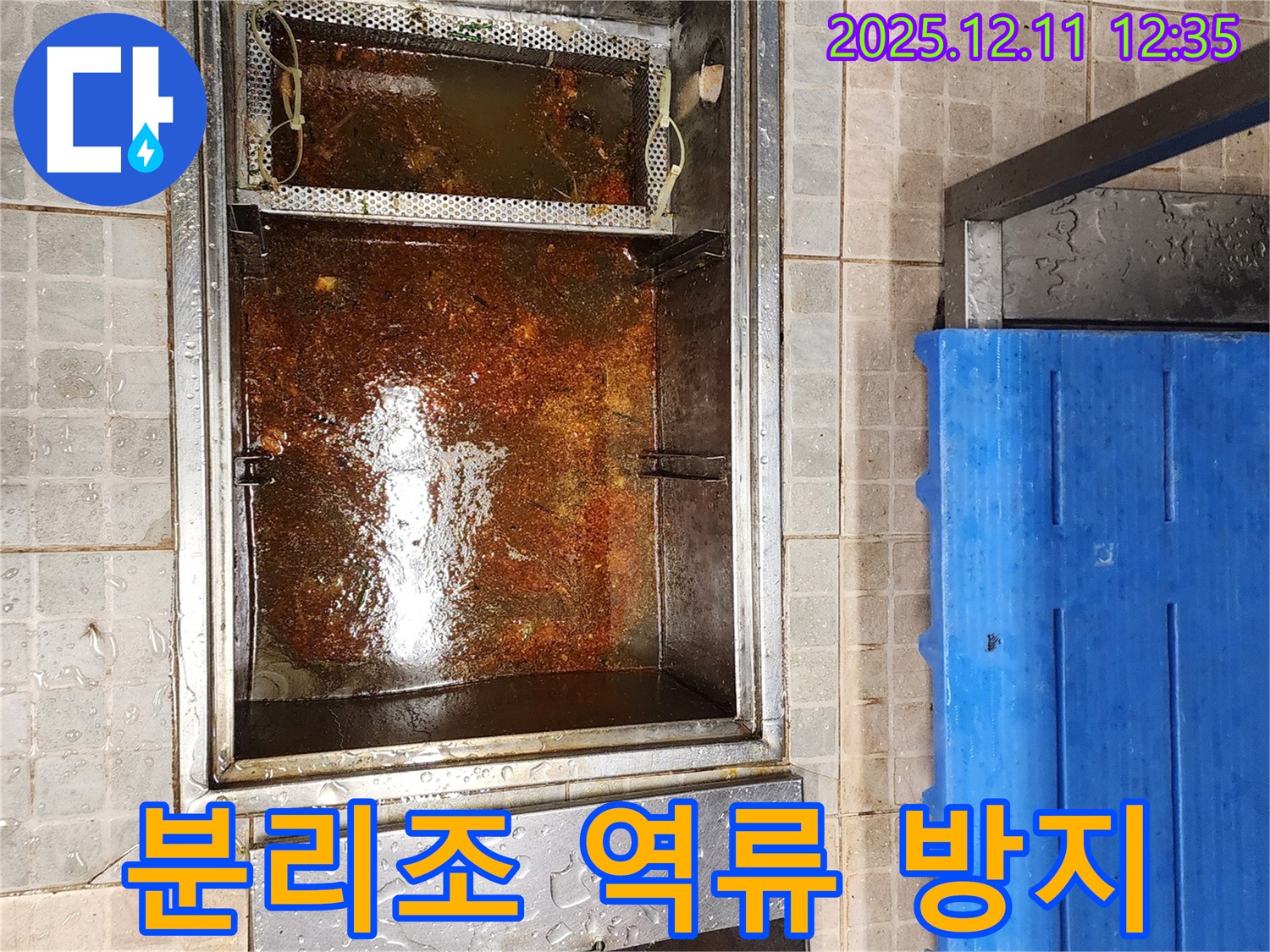 영중면 누수 현장 - 기름 분리조 역류를 효과적으로 방지하는 전문 설비