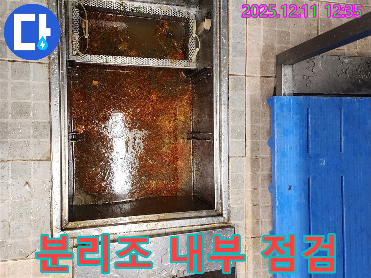 포천 영중면 영송리 - 기름 분리조 내부 점검 중 찌든 때와 기름 덩어리 발견