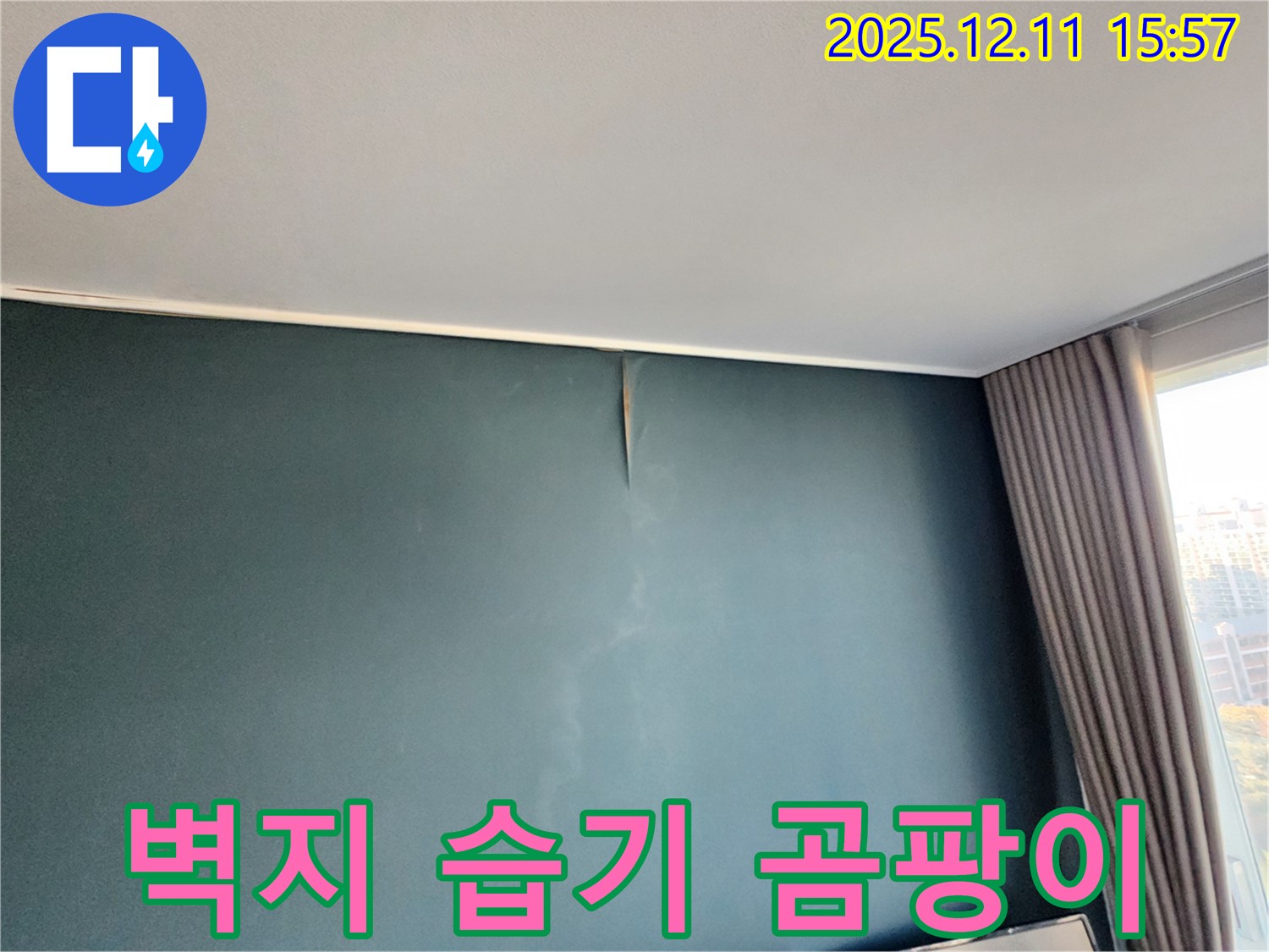벽지 습기 - 곰팡이 - 포천 누수 전문가의 맞춤 해결
