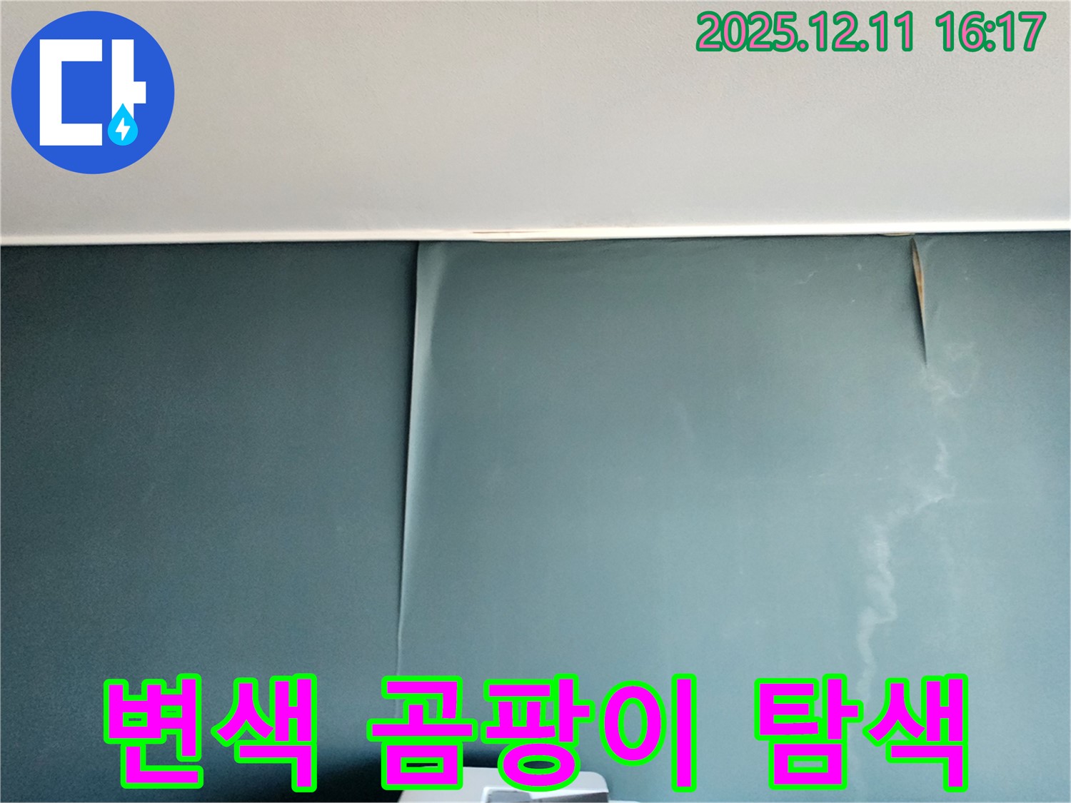 포천시 영중면 남궁리 - 벽지 변색과 곰팡이 속 숨겨진 누수 원인 집중 공략 과정
