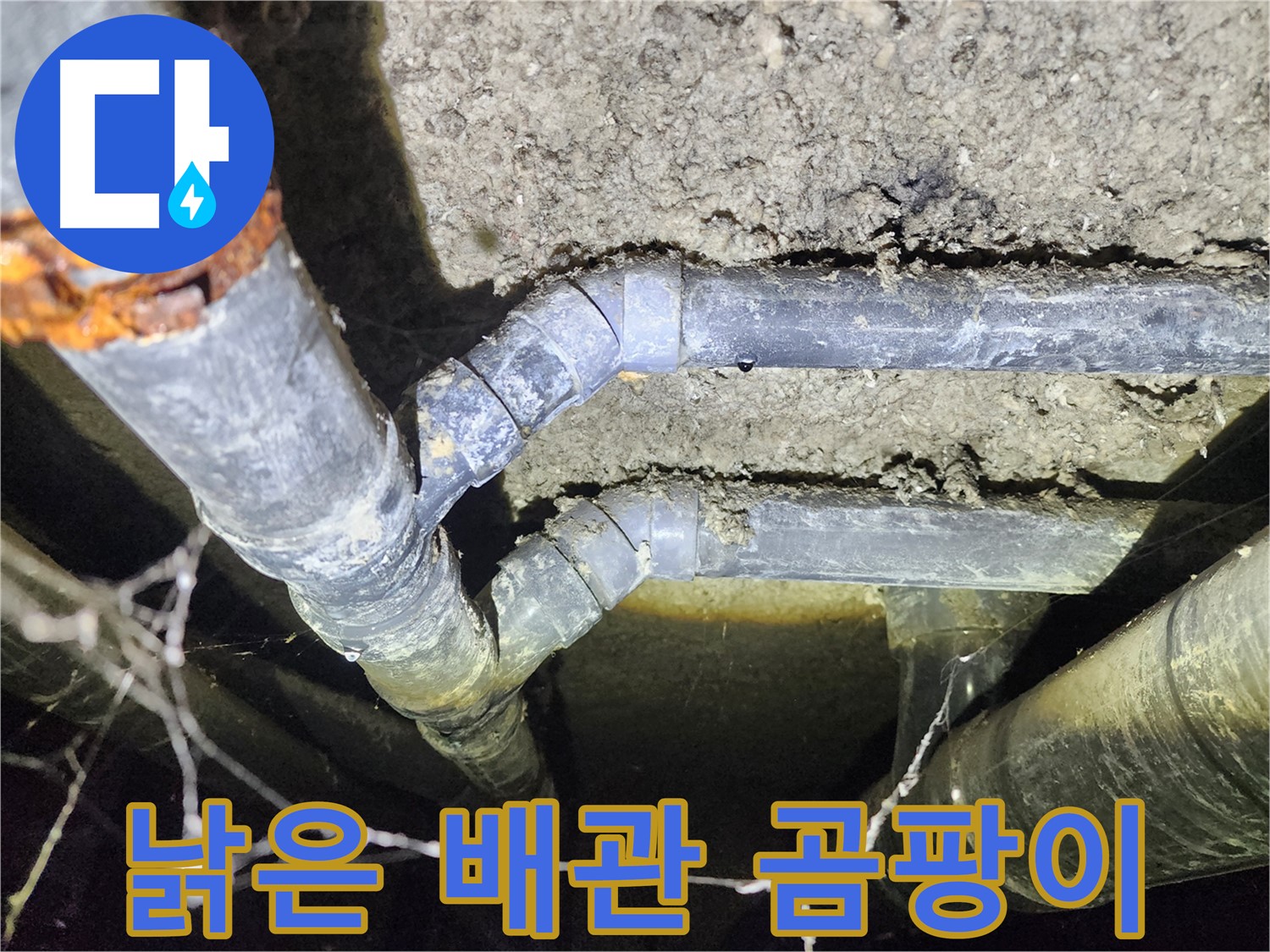 보문동 아남아파트 지하실 천장 낡은 배관 주변에 곰팡이가 발생한 누수 현장