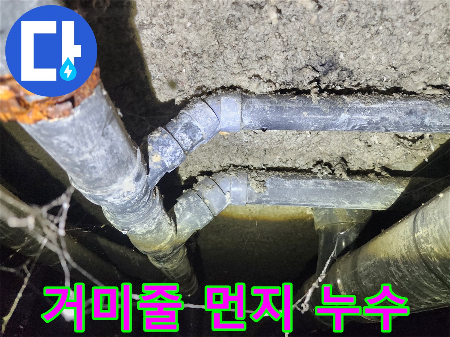 성북구 보문동 아남아파트 지하실 천장 배관 누수 현장-거미줄과 먼지가 쌓인 모습