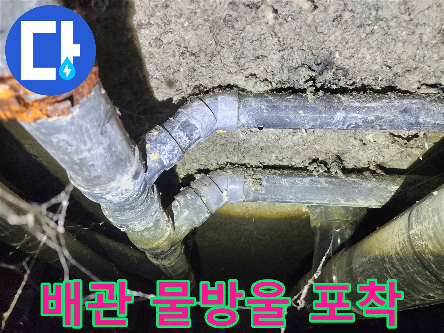 성북구 아남아파트 지하실 천장 배관 연결부위에서 물방울이 포착된 누수 현장