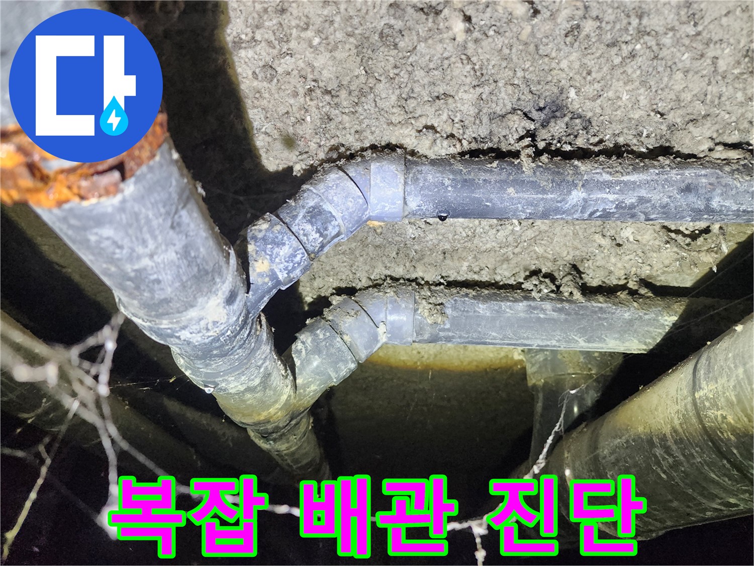 성북구 아남아파트 지하실 천장-복잡한 배관 구조에서 누수 원인을 진단하는 전문가