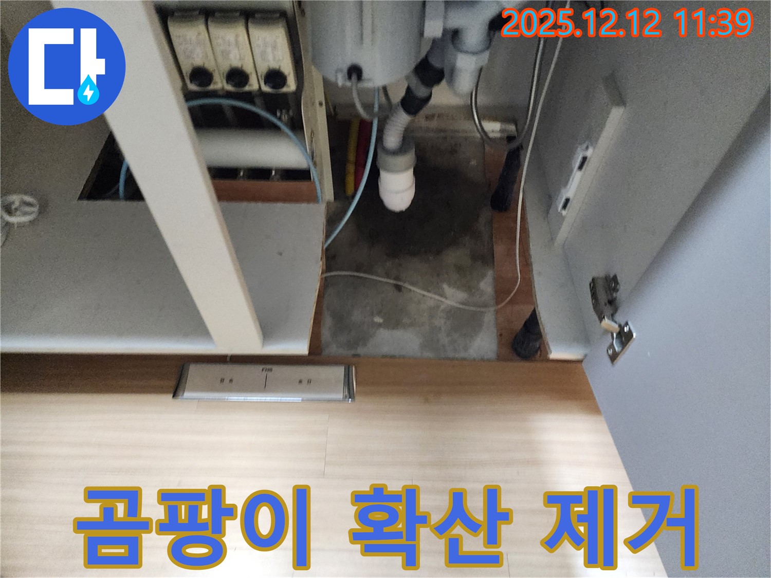 포천 영중 싱크대 누수 - 곰팡이 확산, 누수 해결과 곰팡이 제거 필수!