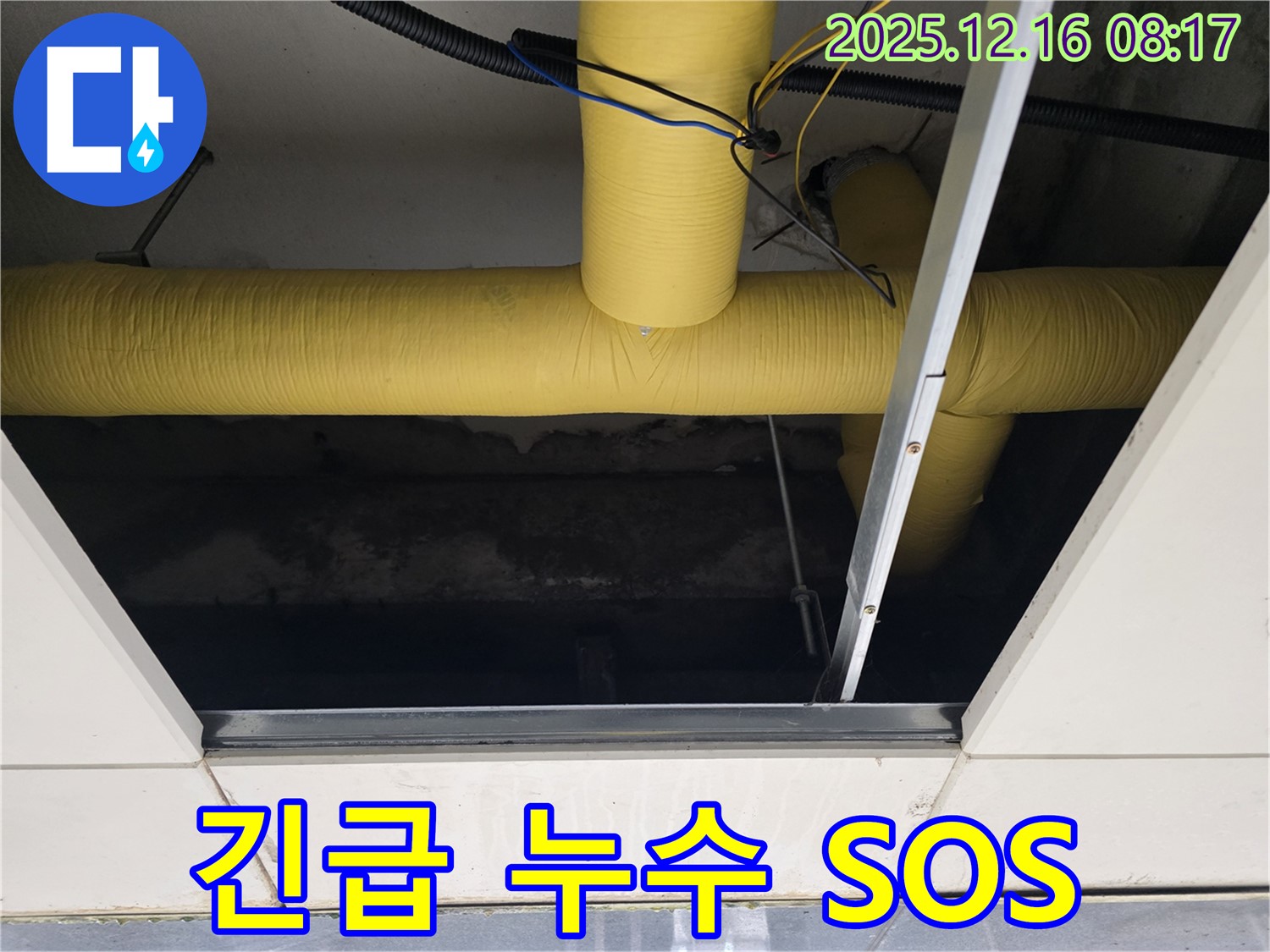 경기 광주시 신현동 텍스 천장 누수 - 텍스 천장 위 숨겨진 노란 배관의 긴급 누수 SOS