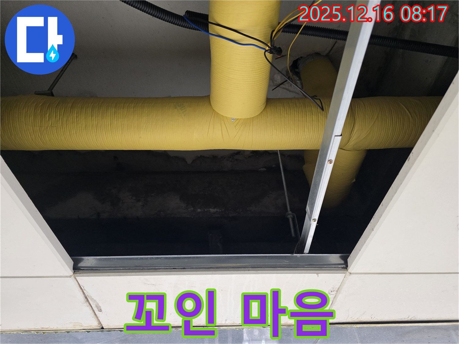 신현동 텍스 천장 누수 - 텍스 천장 속 노란 배관 상태를 꼼꼼하게 점검, 꼬인 마음 활짝 펴드리는 누수 해결
