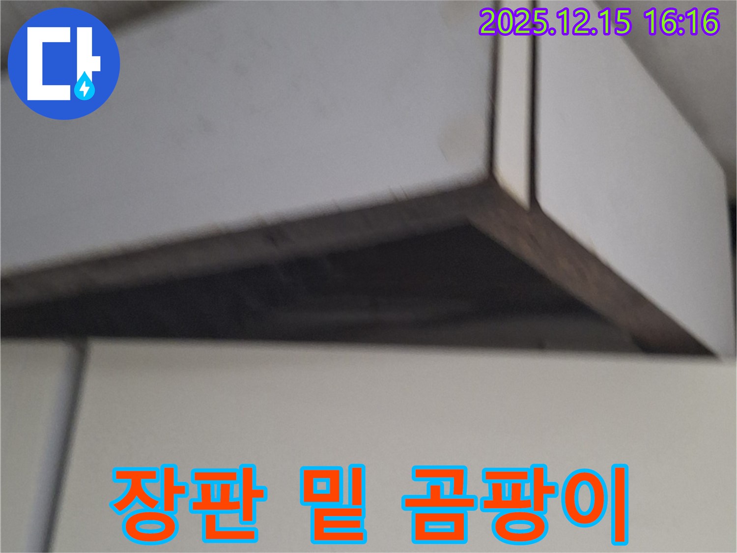 중계동 장판 밑 곰팡이 누수 완벽 차단 - 전문적인 기술력과 꼼꼼한 시공으로 곰팡이 재발 방지!