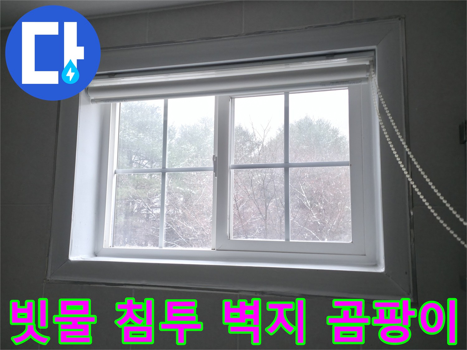 홍천 서면 팔봉강변길에서 빗물 침투로 인해 벽지에 곰팡이가 발생한 모습 - 누수 해결과 곰팡이 제거 시공이 필요합니다.