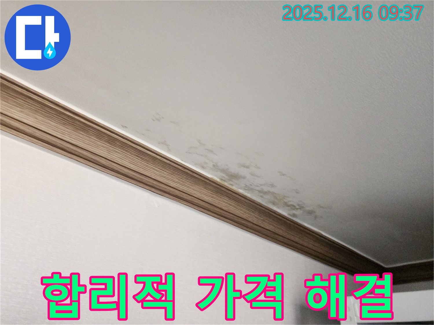 경기도 포천시 곰팡이 핀 천장 - 누수 해결과 곰팡이 제거, 합리적인 가격으로 해결