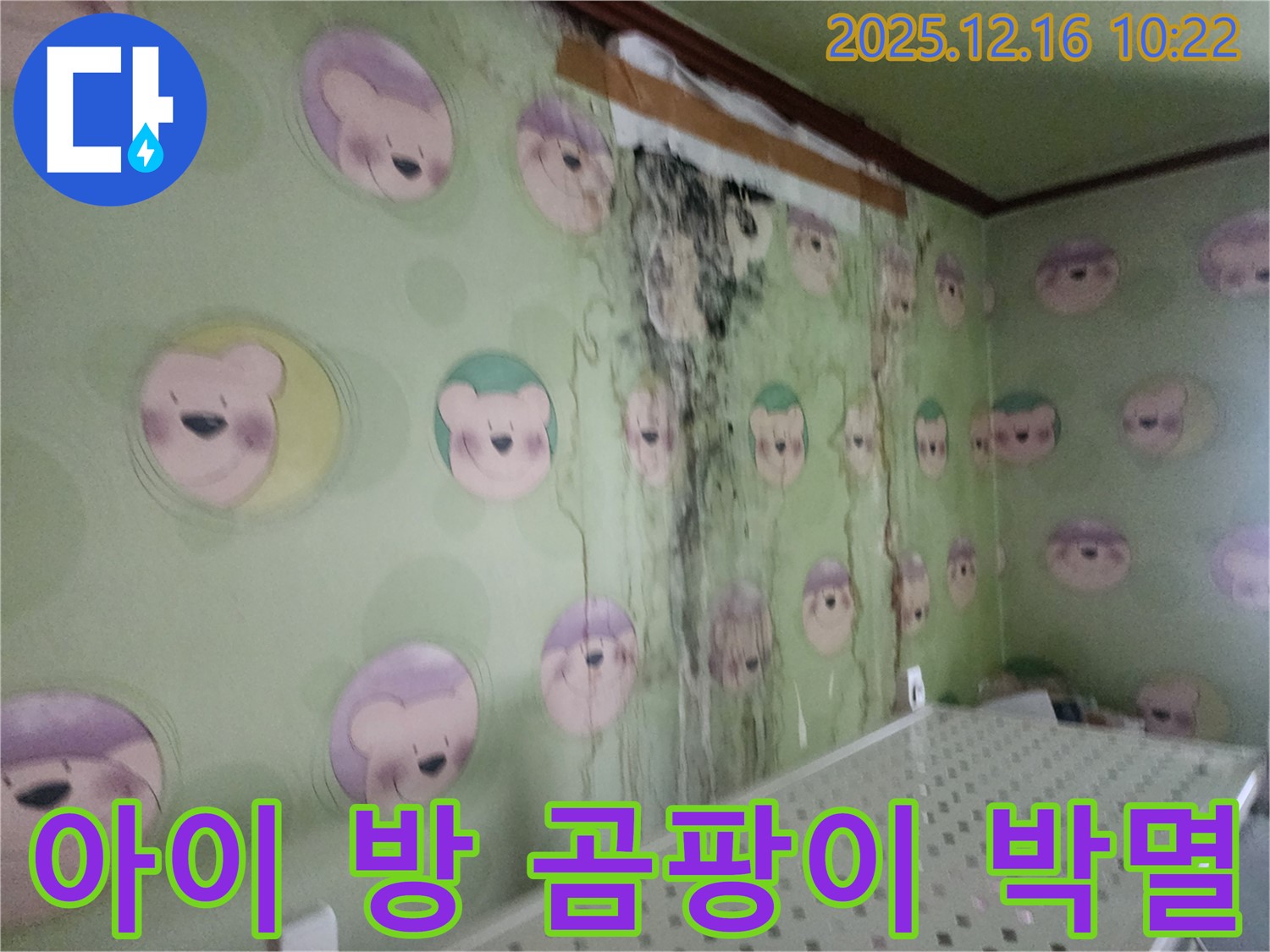 경기도 포천시 영북면 운천2리 아이 방 벽면의 곰팡이 - 곰팡이 완전 박멸 작전 개시, 쾌적한 공간으로 만들기