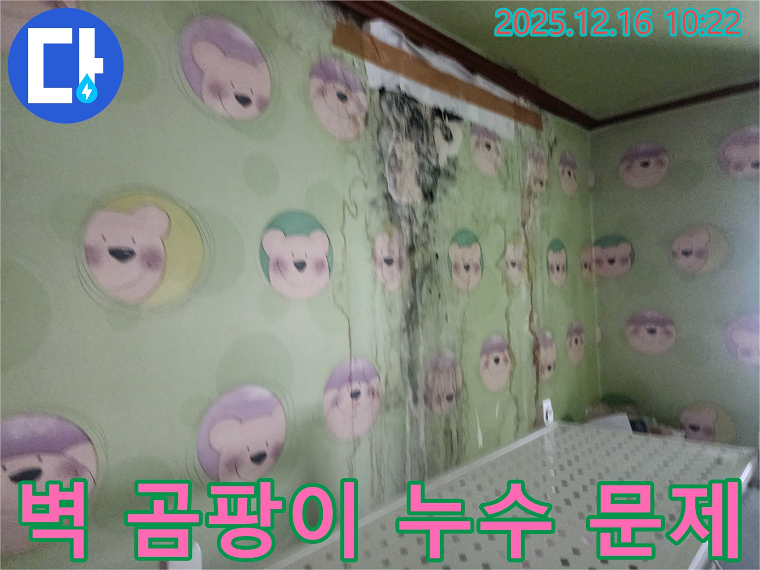 경기도 포천시 영북면 운천2리 주택의 벽 곰팡이와 누수 문제 - 전문 업체의 확실한 해결 약속
