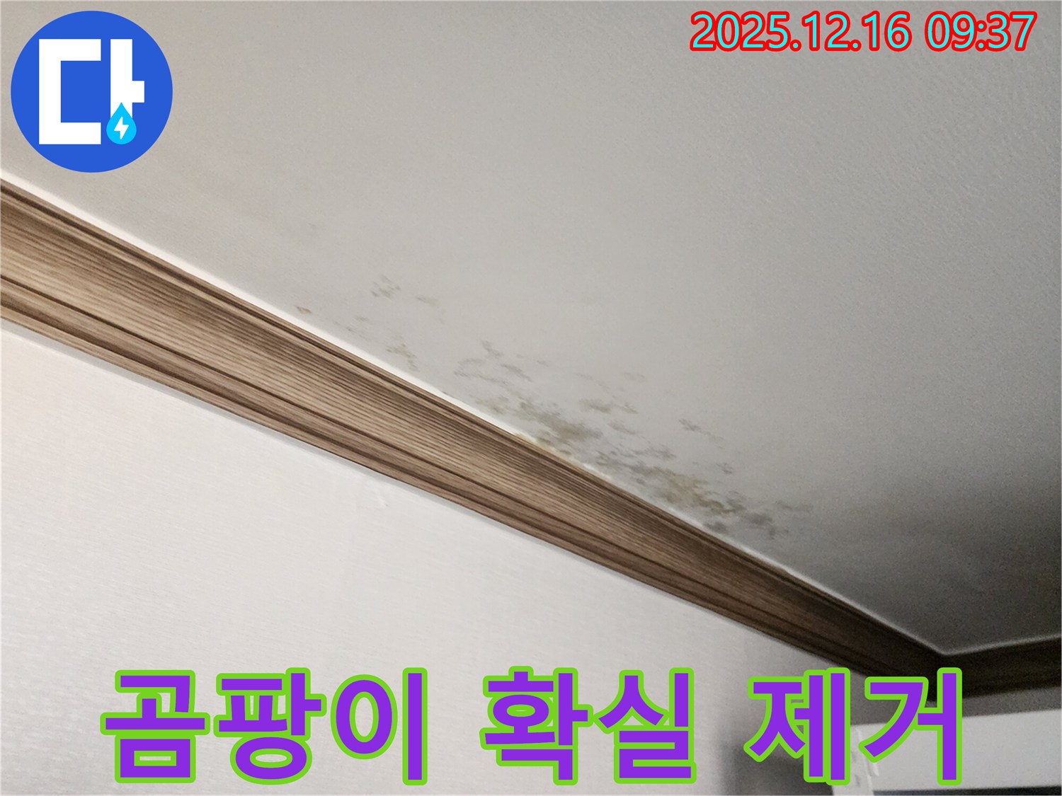 경기도 포천시 영북면 운천리 곰팡이 핀 천장 - 건강을 위협하는 곰팡이, 확실하게 제거!