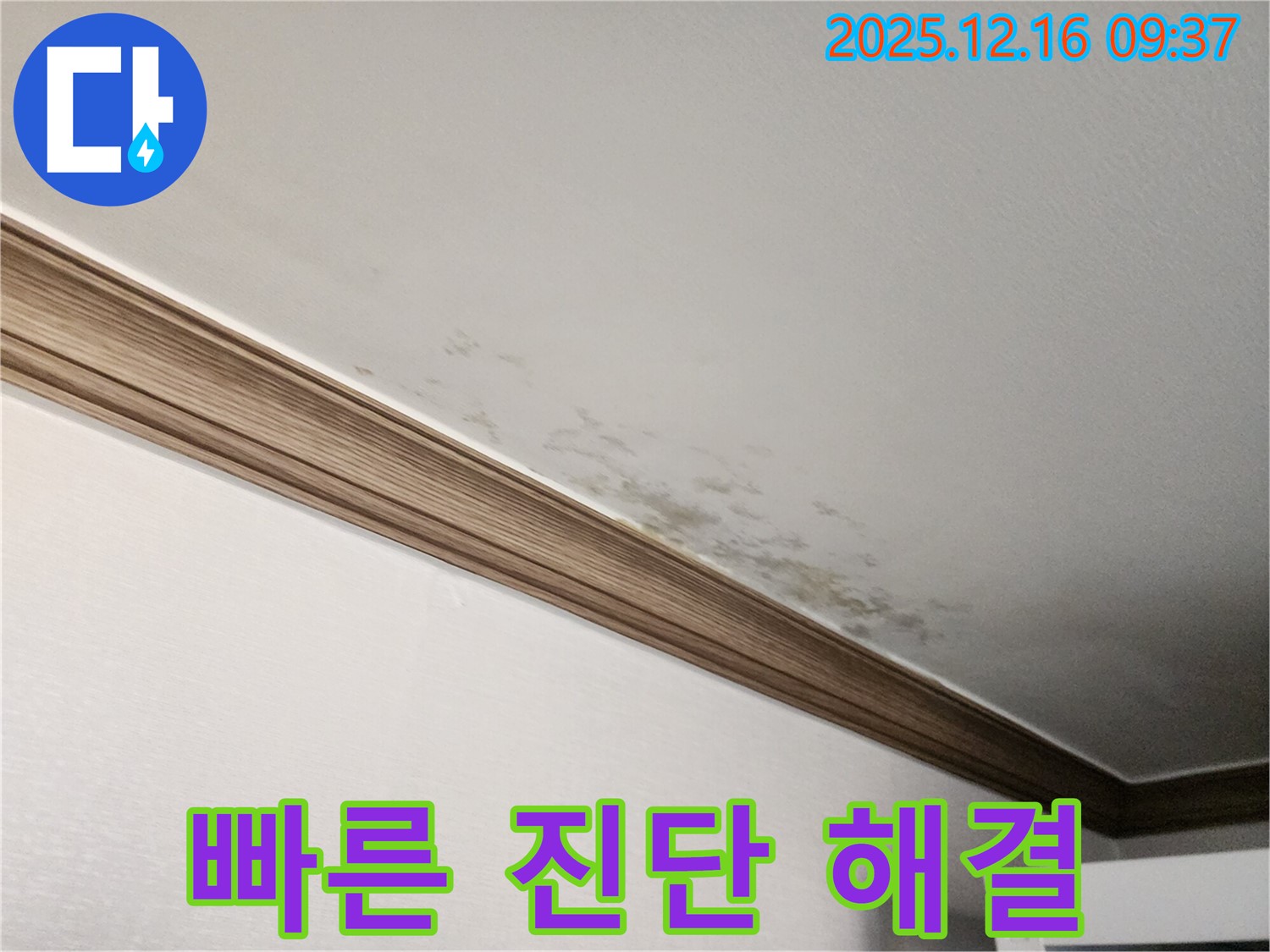 경기도 포천시 영북면 운천리 누수 - 곰팡이 천장, 빠른 진단과 맞춤 해결책