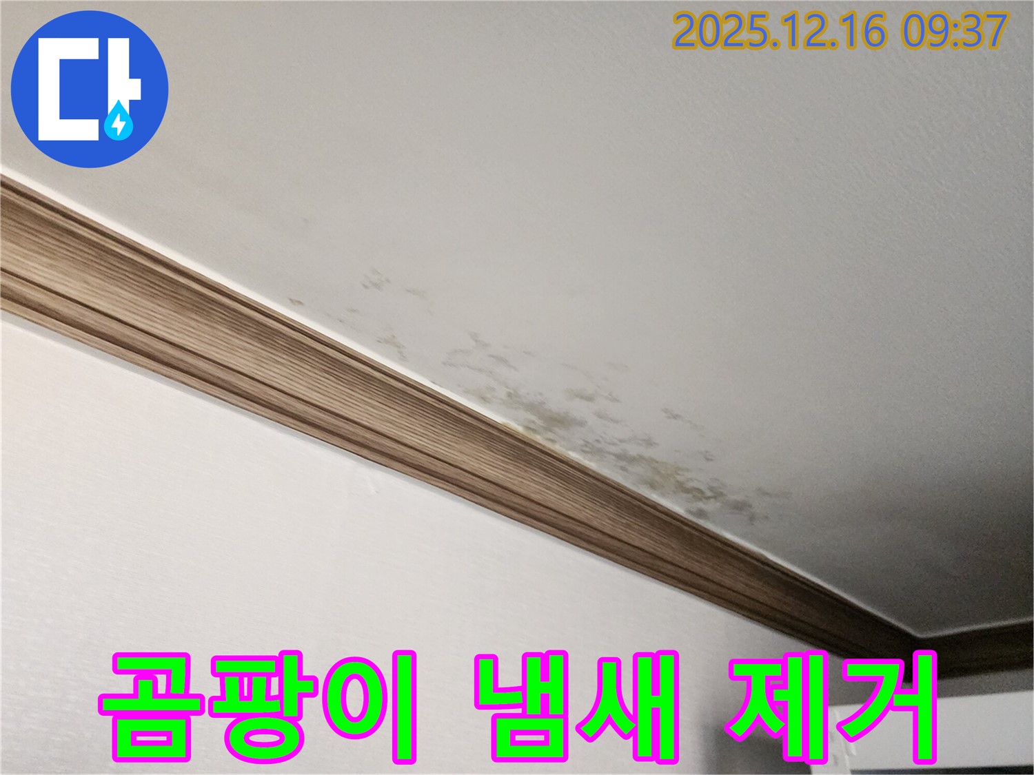 경기도 포천시 영북면 운천리 누수 - 곰팡이 핀 천장, 곰팡이 냄새 제거까지 완벽하게!