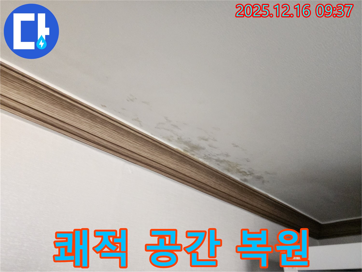 경기도 포천시 영북면 운천리 누수 - 천장과 몰딩 곰팡이, 쾌적한 공간으로 되돌려 드립니다!