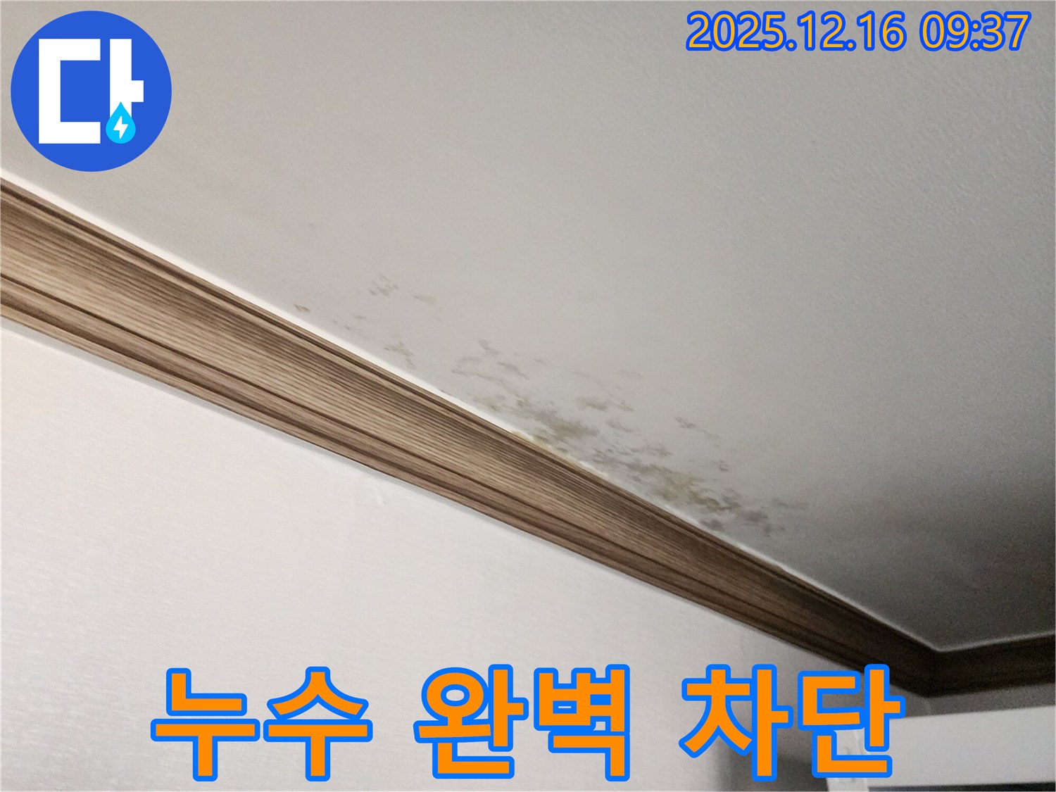 경기도 포천시 천장 누수 - 누수 전문가가 완벽하게 차단 솔루션 제공
