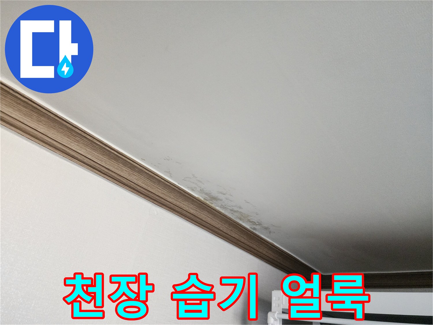 몰딩 경계의 젖은 벽지-누수로 인한 오염 상태