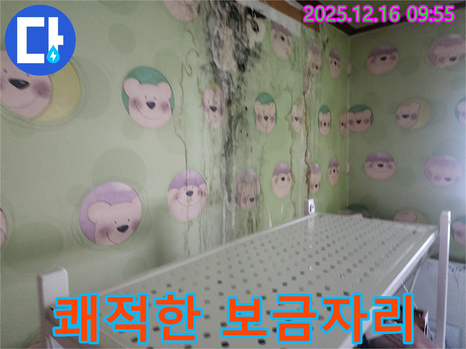 벽 곰팡이 - 누수 문제를 해결하고 곰팡이까지 깨끗하게 제거하여 쾌적한 보금자리를 만들었습니다.