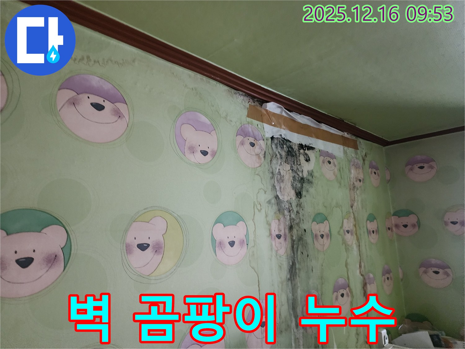 벽에 곰팡이가 피어 있고, 누수로 인해 벽지가 젖어 있는 모습 - 누수탐지 전문 업체의 도움이 필요합니다.