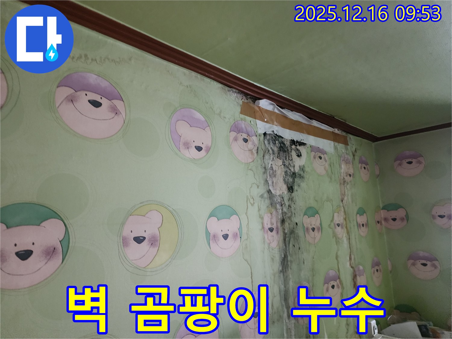 벽에 곰팡이가 피어 있고, 누수로 인해 벽지가 젖어 있는 모습 - 누수탐지 전문 업체의 도움이 필요합니다.
