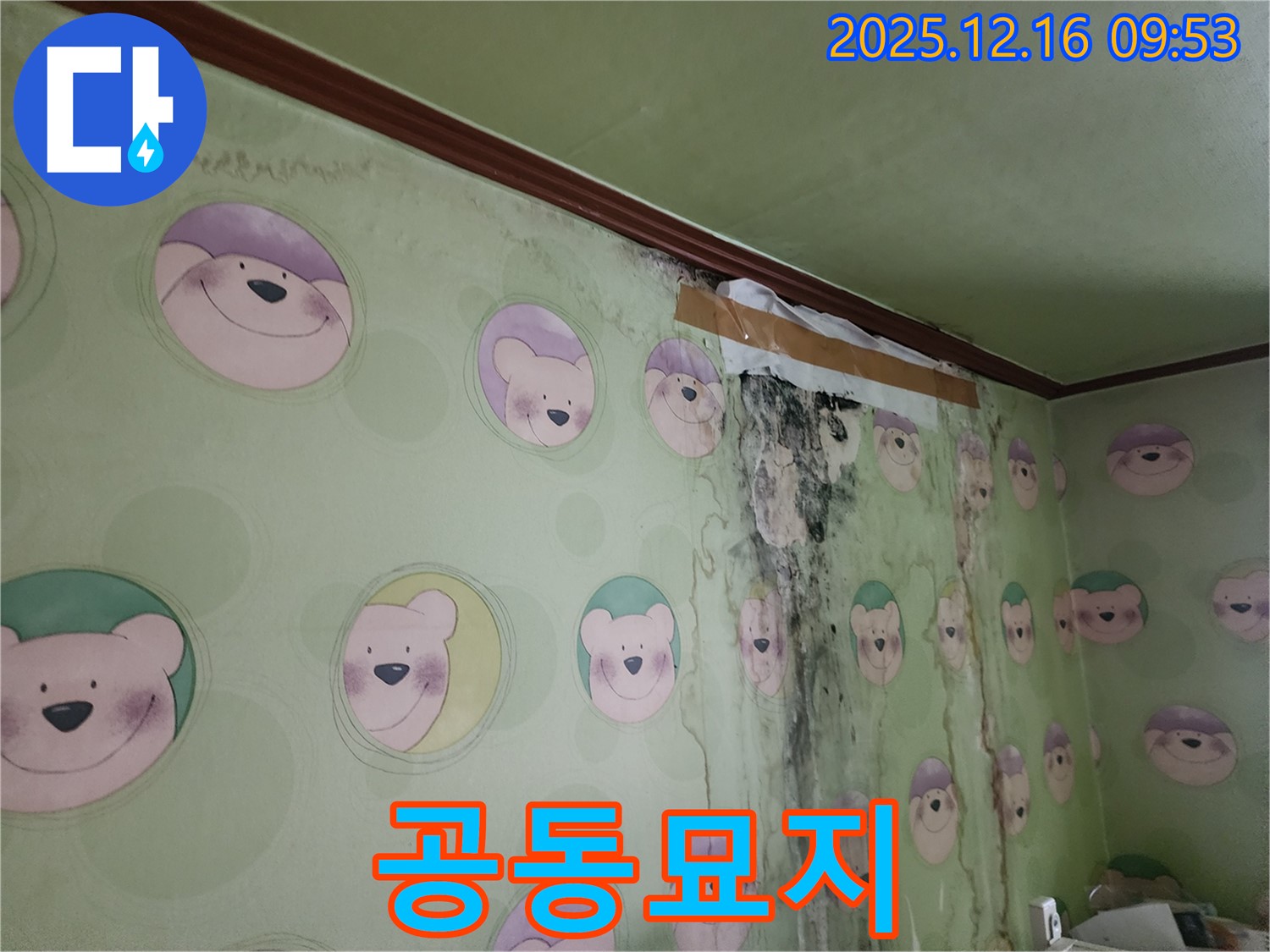 아이 방 벽에 곰팡이가 심하게 번식하여 곰팡이 공동묘지처럼 보이는 모습 - 곰팡이 제거와 함께 새로운 시작을 선물하세요.