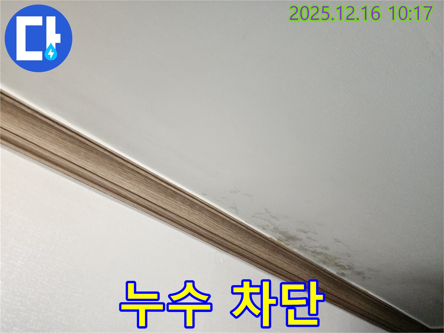 영북면 곰팡이 천장 - 누수 전문가의 완벽한 누수 차단 시공