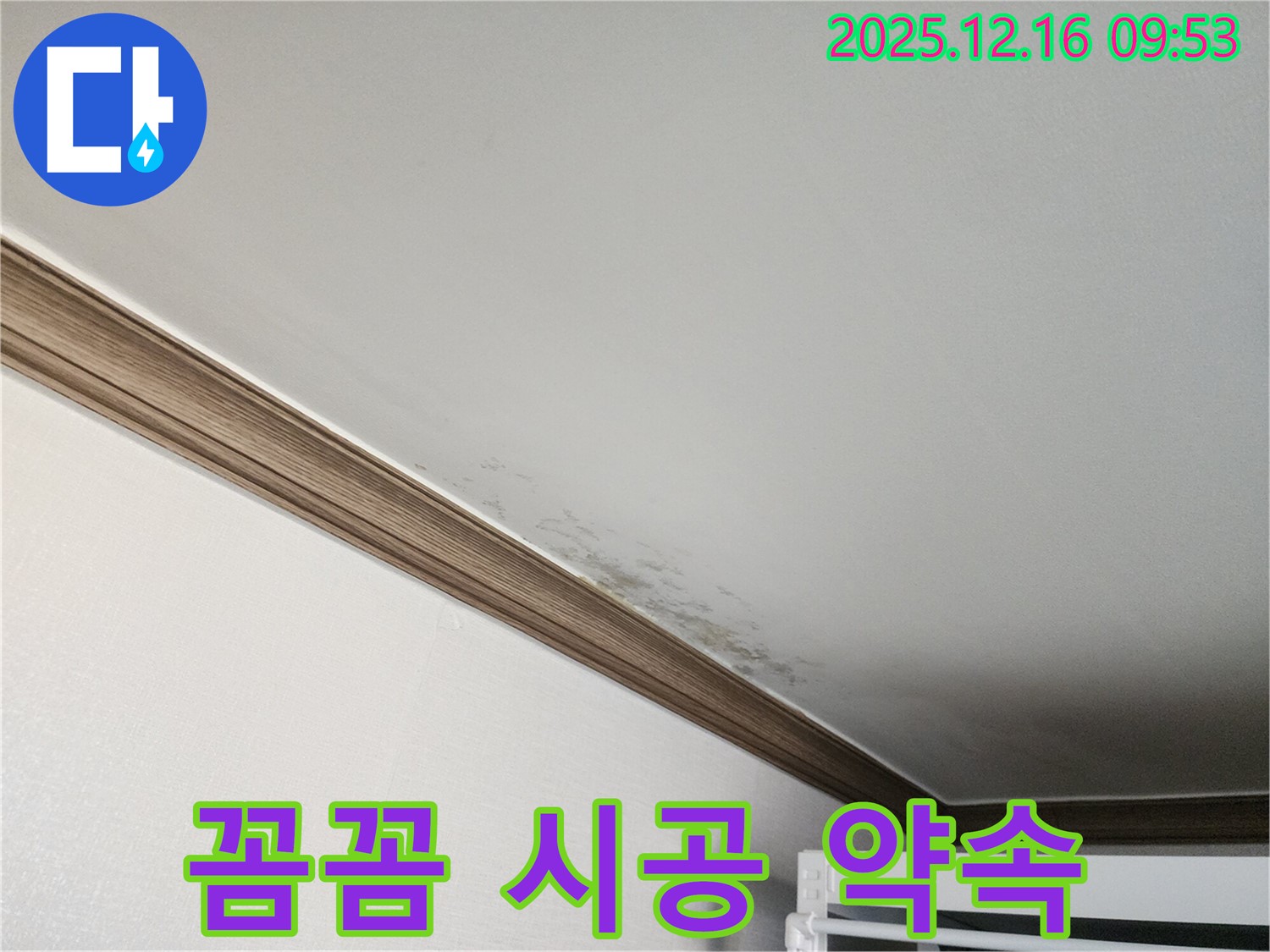 운천리 누수 - 곰팡이, 꼼꼼한 점검과 완벽 시공으로 다시는 곰팡이 걱정 없이! - 믿고 맡겨주세요.