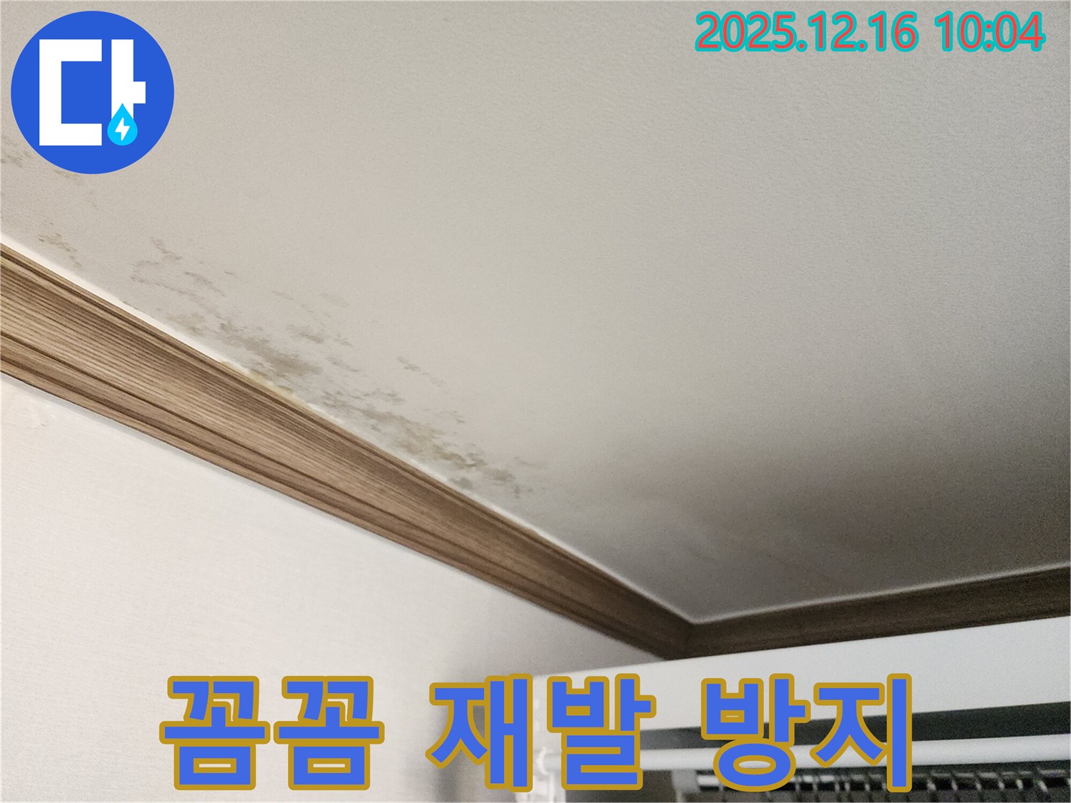 포천 영북면 곰팡이 천장 - 꼼꼼한 시공으로 누수 재발 걱정 없이!