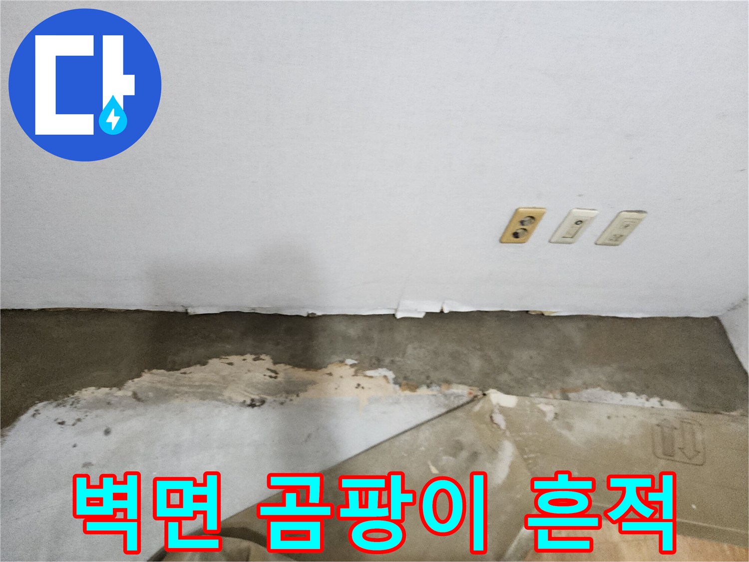 포천 영북면 현장의 벽지 하단 곰팡이 및 습기 발생 상태