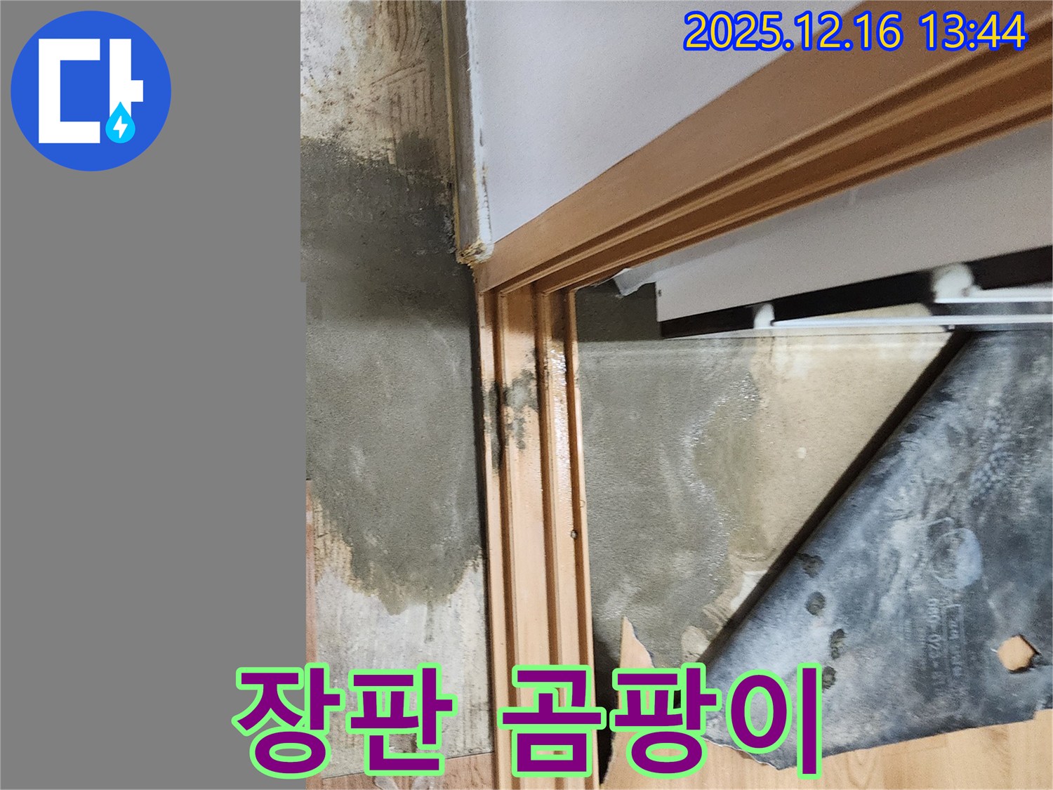 소홀리 누수 - 장판 곰팡이, 아이들 건강에 악영향 우려