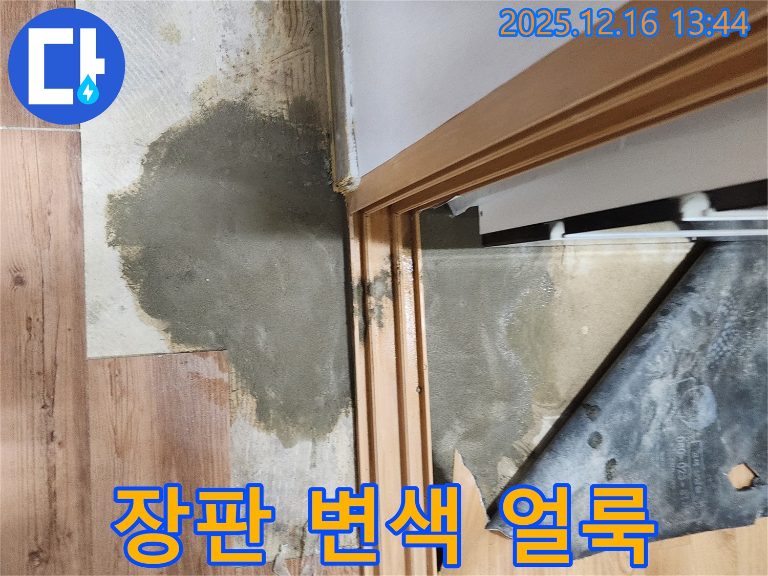 영북면 소홀리 누수 - 장판 변색, 얼룩덜룩 보기 흉한 모습, 스트레스 유발