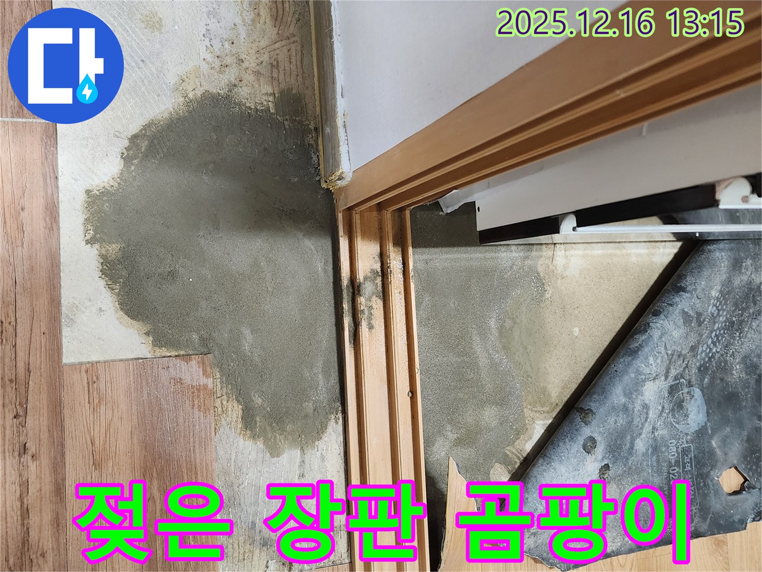 영북면 소홀리 주택 누수 현장 - 젖은 장판과 곰팡이는 누수 문제의 심각성을 보여줍니다.